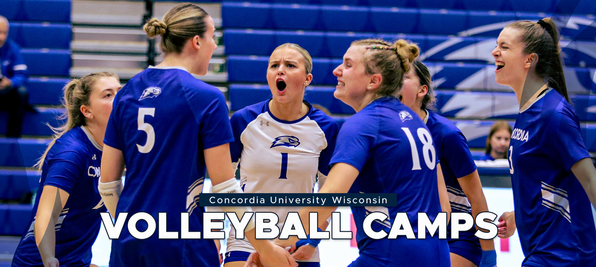 Concordia University Wisconsin Volleyball Camps